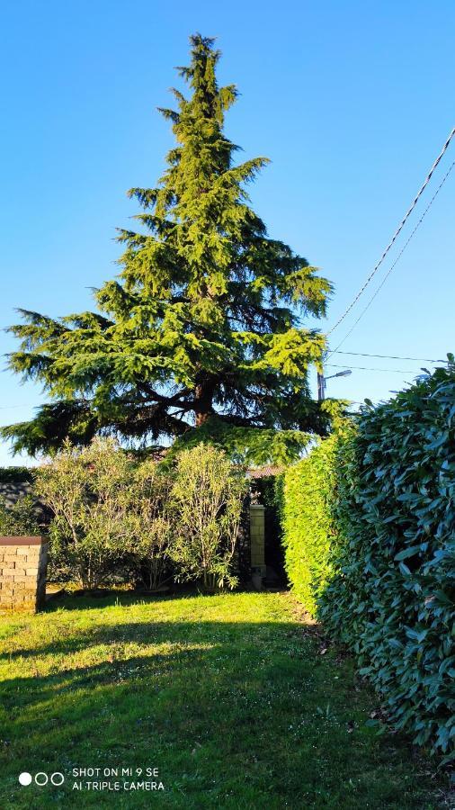 Il Cedro Bed & Breakfast San Pier d'Isonzo Dış mekan fotoğraf